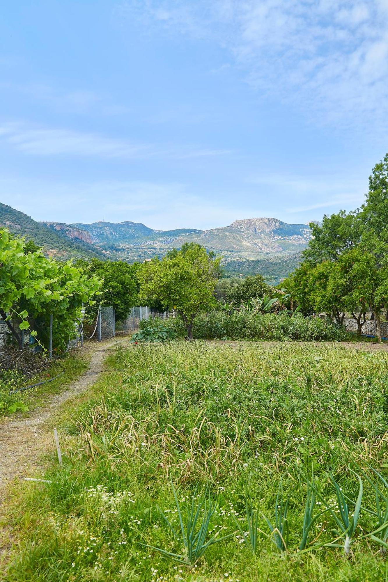 Melinda Pension & Restaurant Mesudiye (Datca) Exterior foto